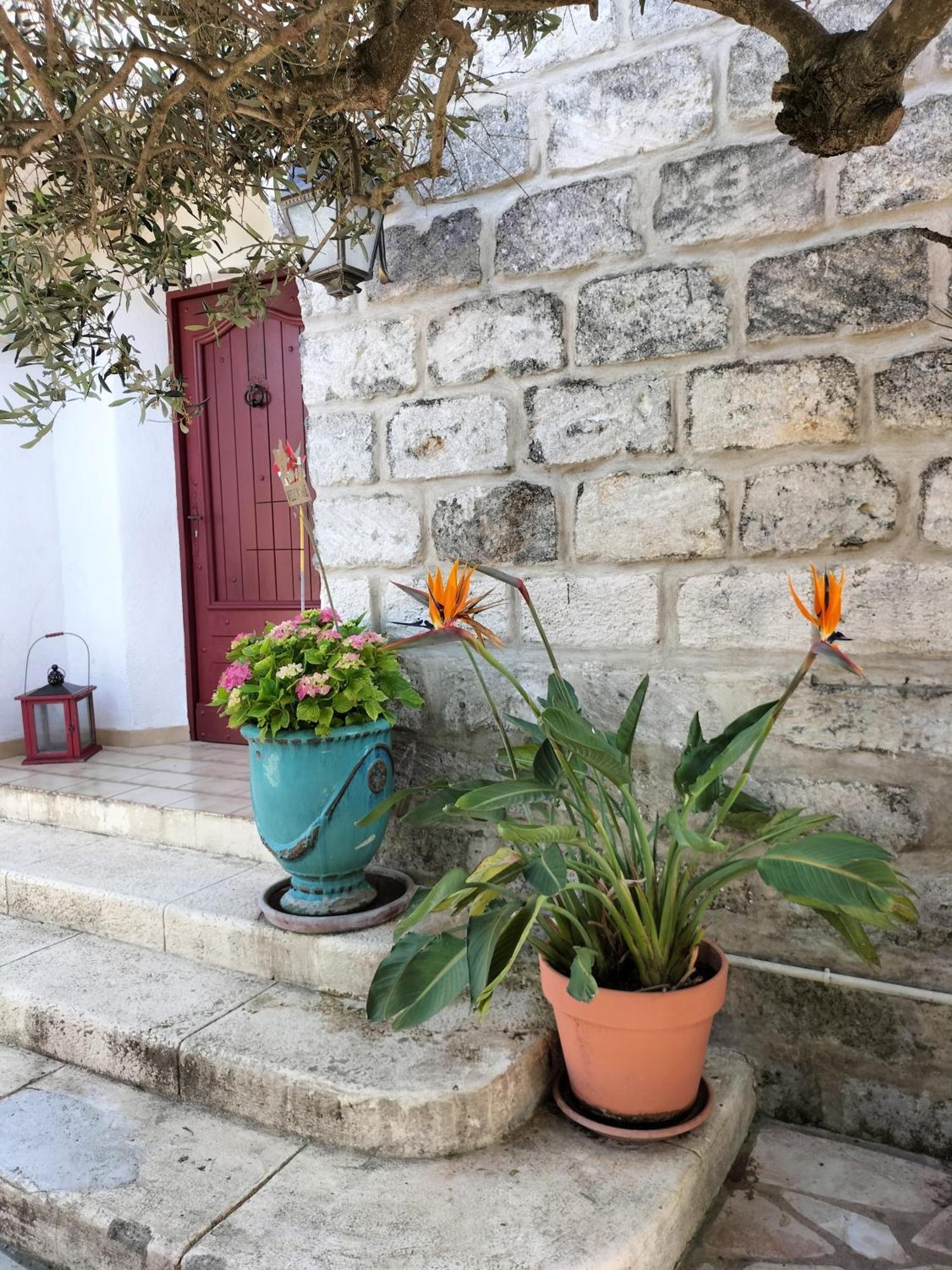 Charmant Appart Avec Jardin Aigues-Mortes Kültér fotó